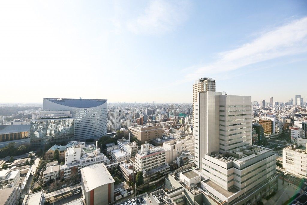 Brillia Towers 目黒 サウスレジデンスの写真 眺望（居室から）