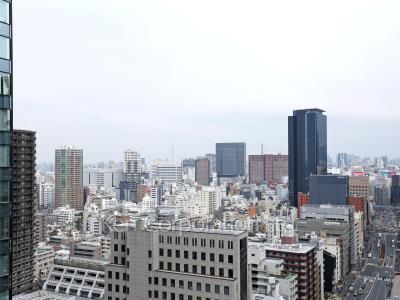 Dマークス西新宿タワーの写真 眺望（居室から）