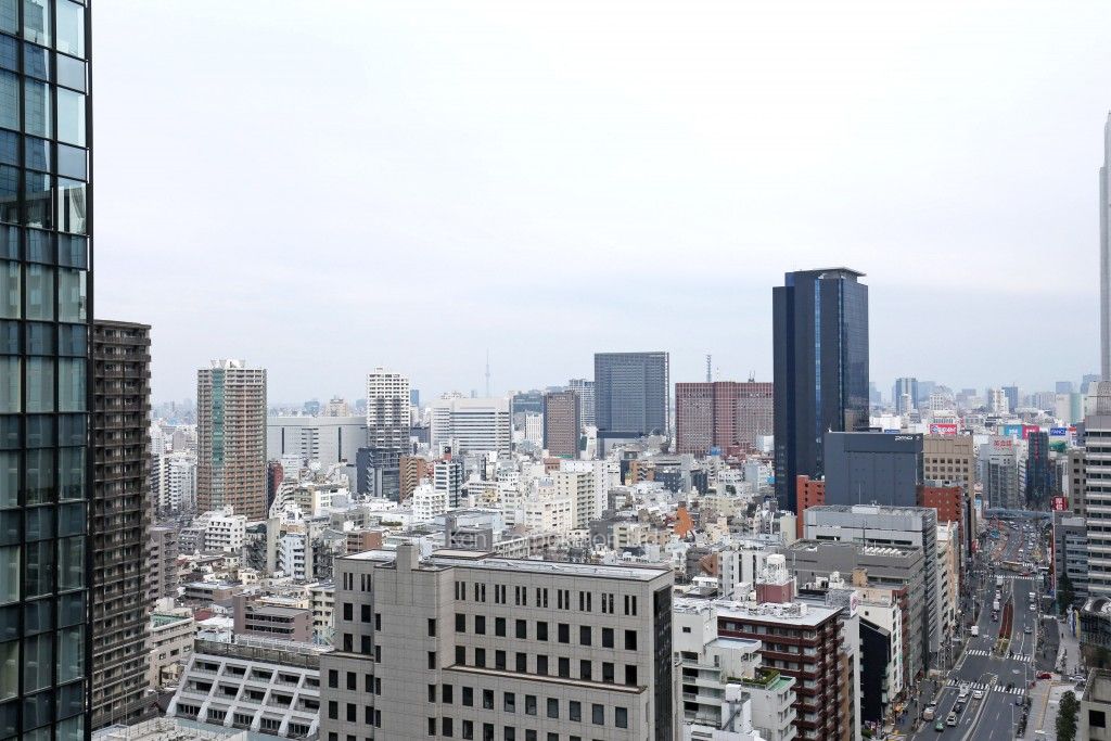 Dマークス西新宿タワーの写真 眺望（居室から）