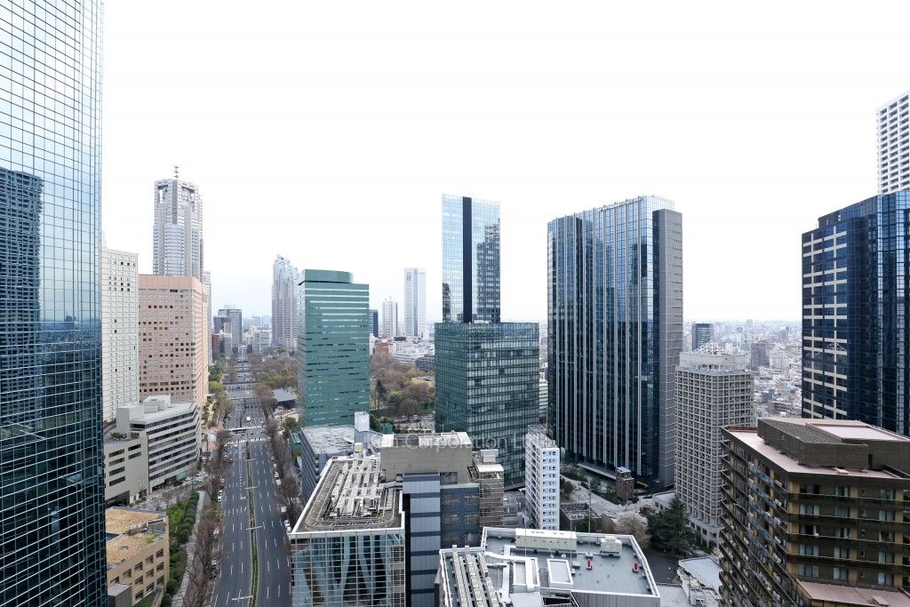 Dマークス西新宿タワーの写真 眺望（居室から）