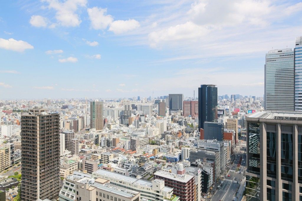 Dマークス西新宿タワーの写真 眺望（居室から）