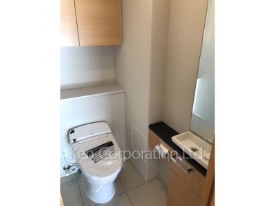 ブランズ渋谷常盤松の写真 トイレ ※写真・画像は実際と異なる場合がございます。部屋写真は同一タイプのものです。（ただし、画像中にタイプ名の記載がある場合はその記載内容を優先します。）