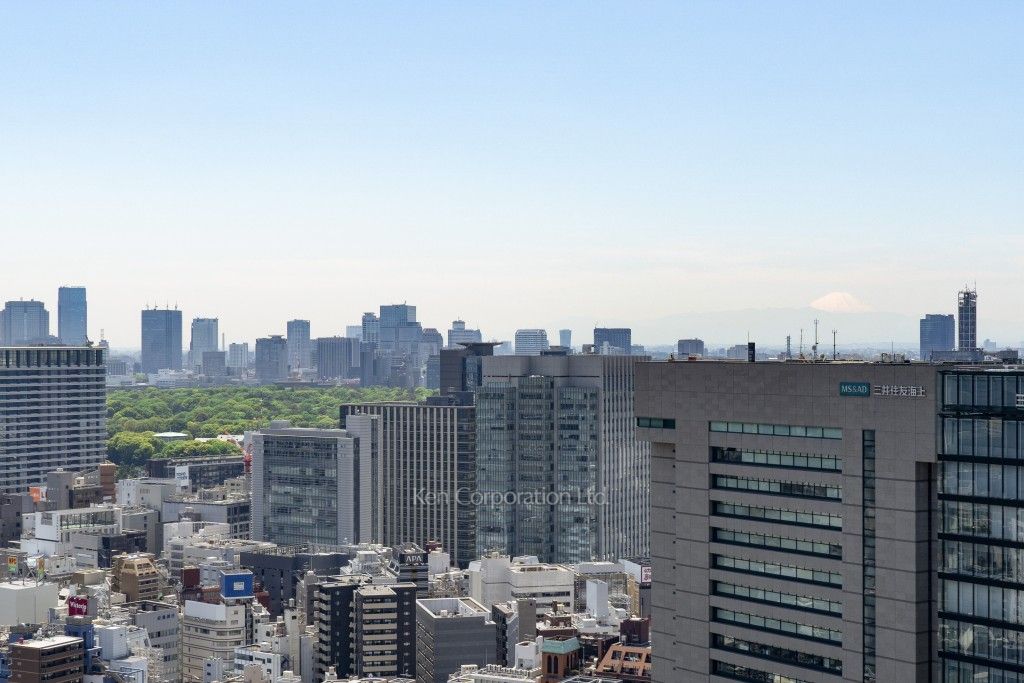 ワテラスタワーレジデンスの写真 眺望（居室から）