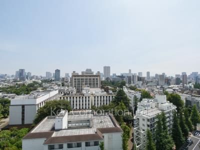 Prime Art白金台の写真 眺望（居室から）