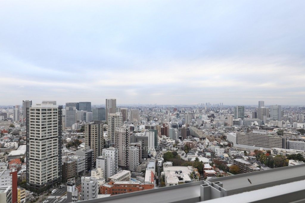 プラウドタワー白金台の写真 眺望（居室から）