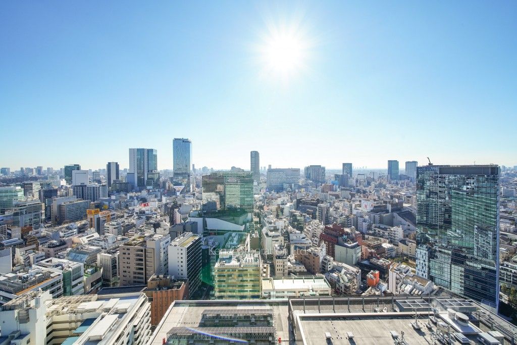 パークコート渋谷ザタワーの写真 眺望（居室から）