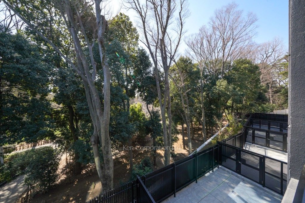 ル シエル 井の頭公園の写真 眺望（居室から）