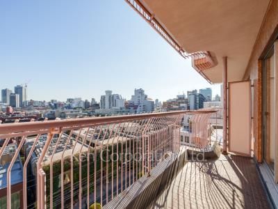 南青山第一マンションズの写真 バルコニー