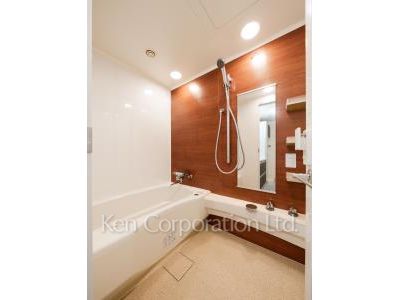 南青山第一マンションズの写真 バスルーム