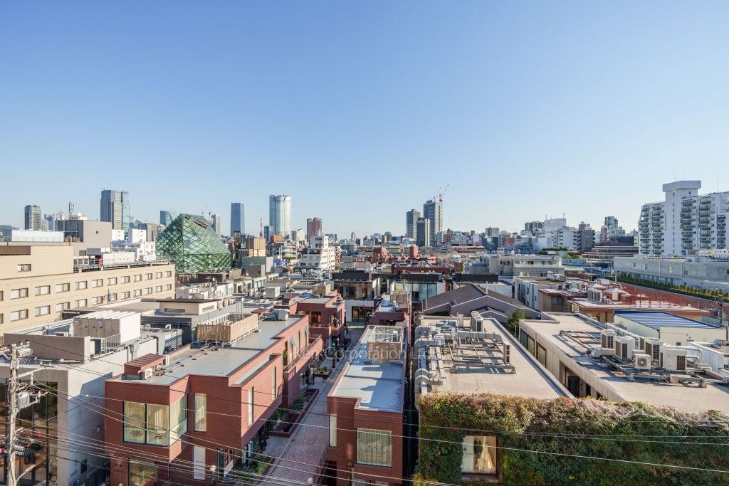 南青山第一マンションズの写真 眺望（居室から）