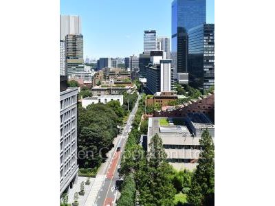 ザ・レジデンス六本木の写真 眺望（居室から）