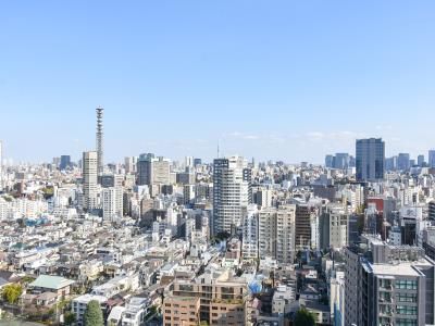 ライオンズ四谷タワーゲートの写真 眺望（居室から）