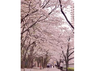 ル・サンク大崎シティタワーの写真 周辺