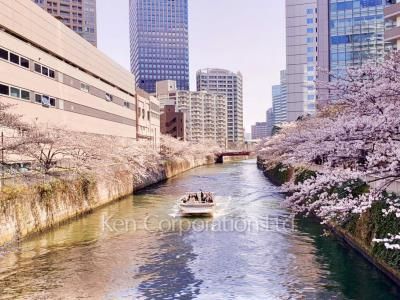ル・サンク大崎シティタワーの写真 周辺