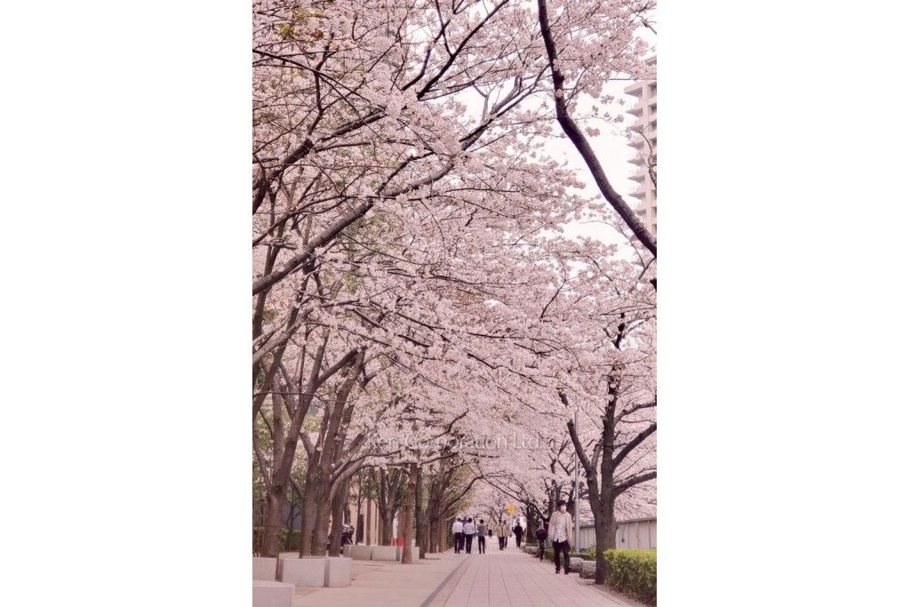 ル・サンク大崎シティタワーの写真 周辺