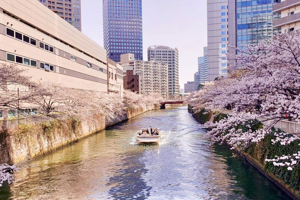 ル・サンク大崎シティタワーの写真 周辺