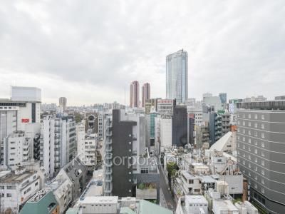 オーキッドレジデンス六本木の写真 眺望（居室から）