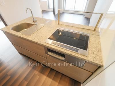 ザ・パークワンズ高輪の写真 キッチン