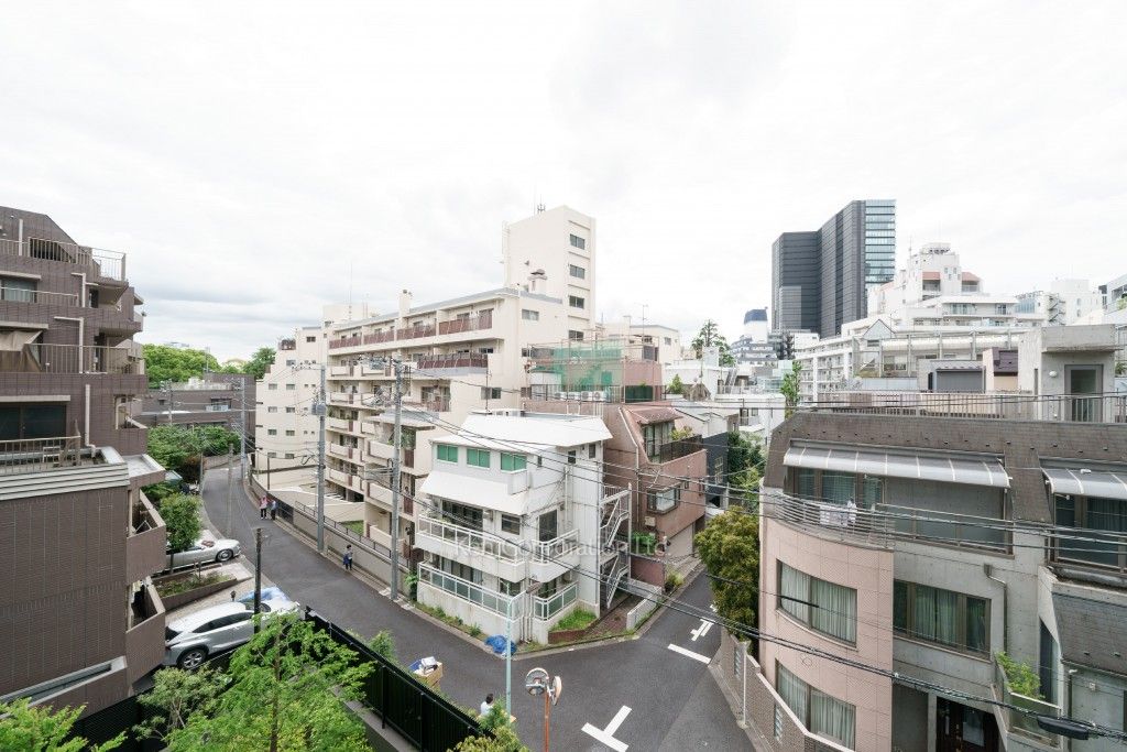 ザ・パークハウス渋谷南平台の写真 眺望（居室から）