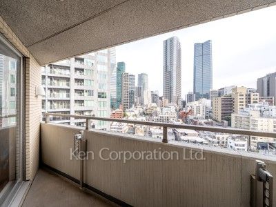 オーキッドレジデンス六本木の写真 バルコニー