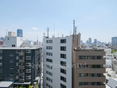 ファミールグラン西麻布パークアヴェニューの写真 眺望（居室から）