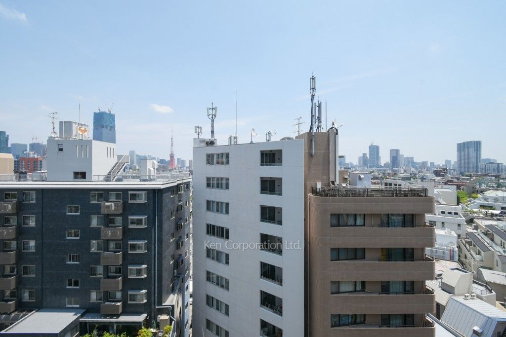 ファミールグラン西麻布パークアヴェニューの写真 眺望（居室から）