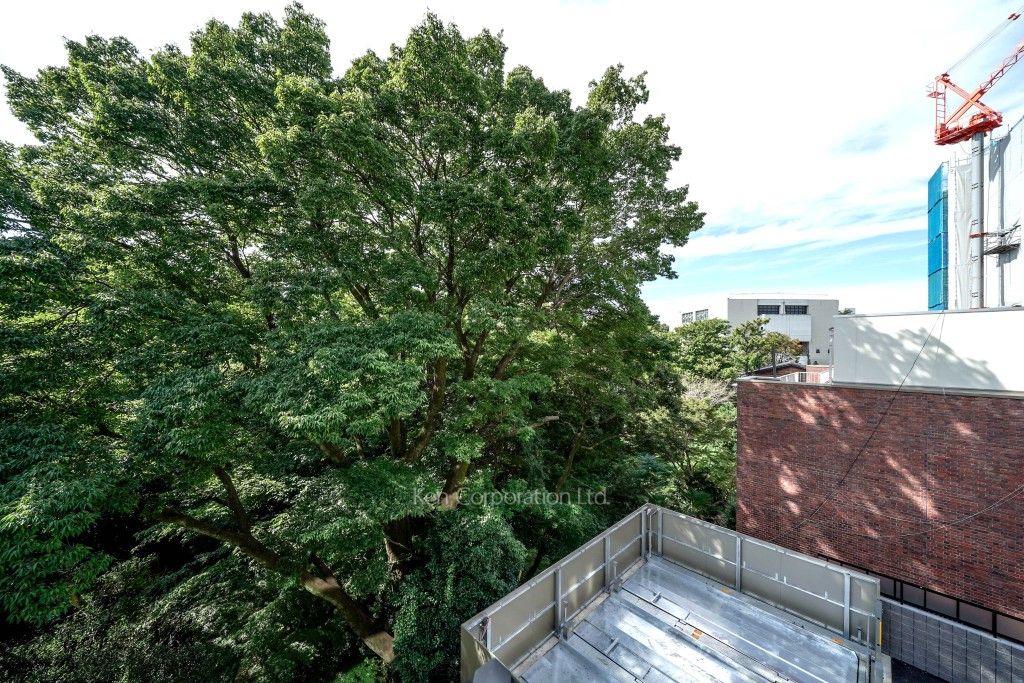 S.CLASSE松濤の写真 眺望（居室から）