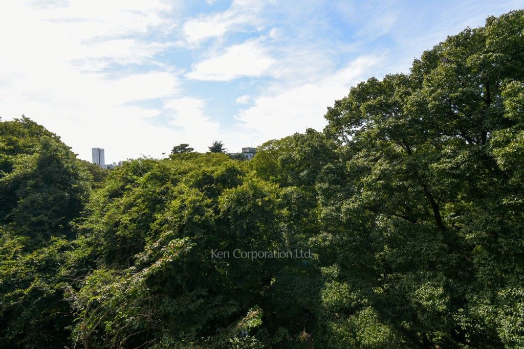 S.CLASSE松濤の写真 眺望（居室から）