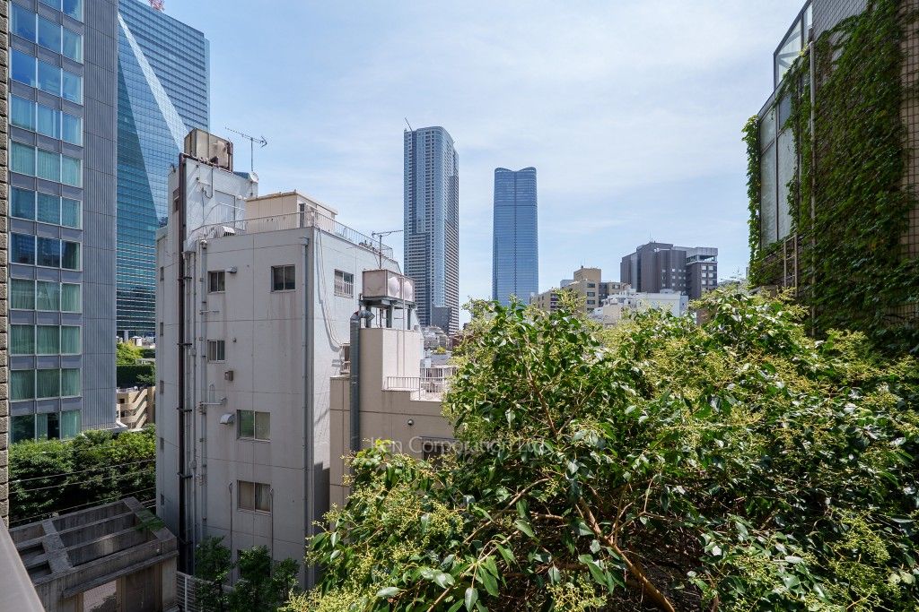 オーキッドレジデンス六本木の写真 眺望（居室から）