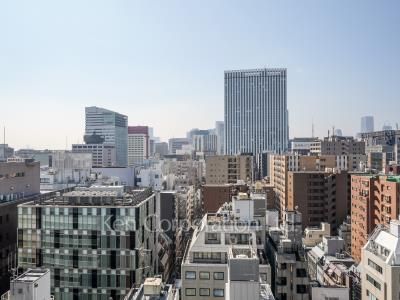 銀座タワーの写真 眺望（居室から）