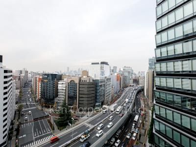 ザ・パークハビオ渋谷クロスの写真 眺望（居室から）