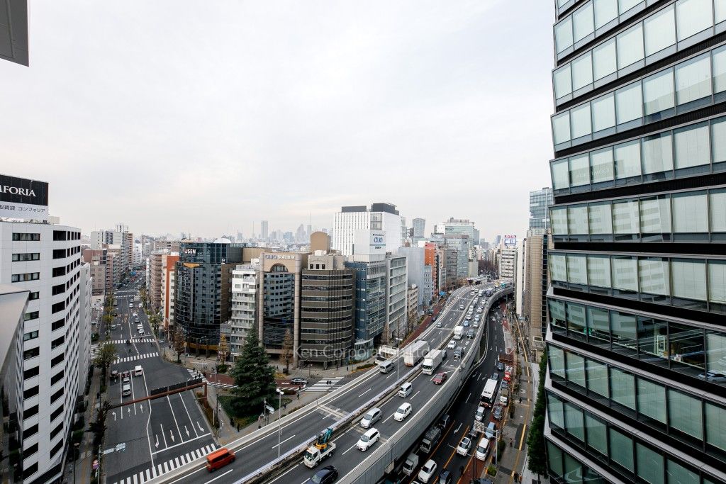 ザ・パークハビオ渋谷クロスの写真 眺望（居室から）