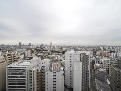 ルフォンプログレ渋谷ヒルトップの写真 眺望（居室から）