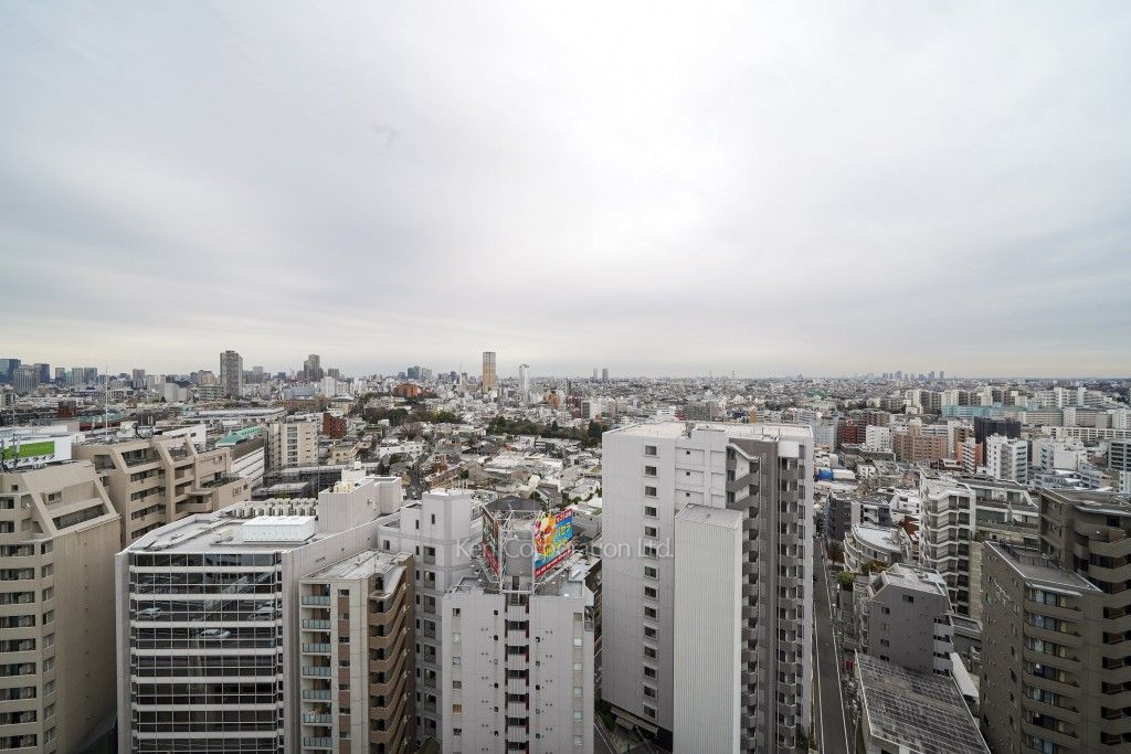 ルフォンプログレ渋谷ヒルトップの写真 眺望（居室から）