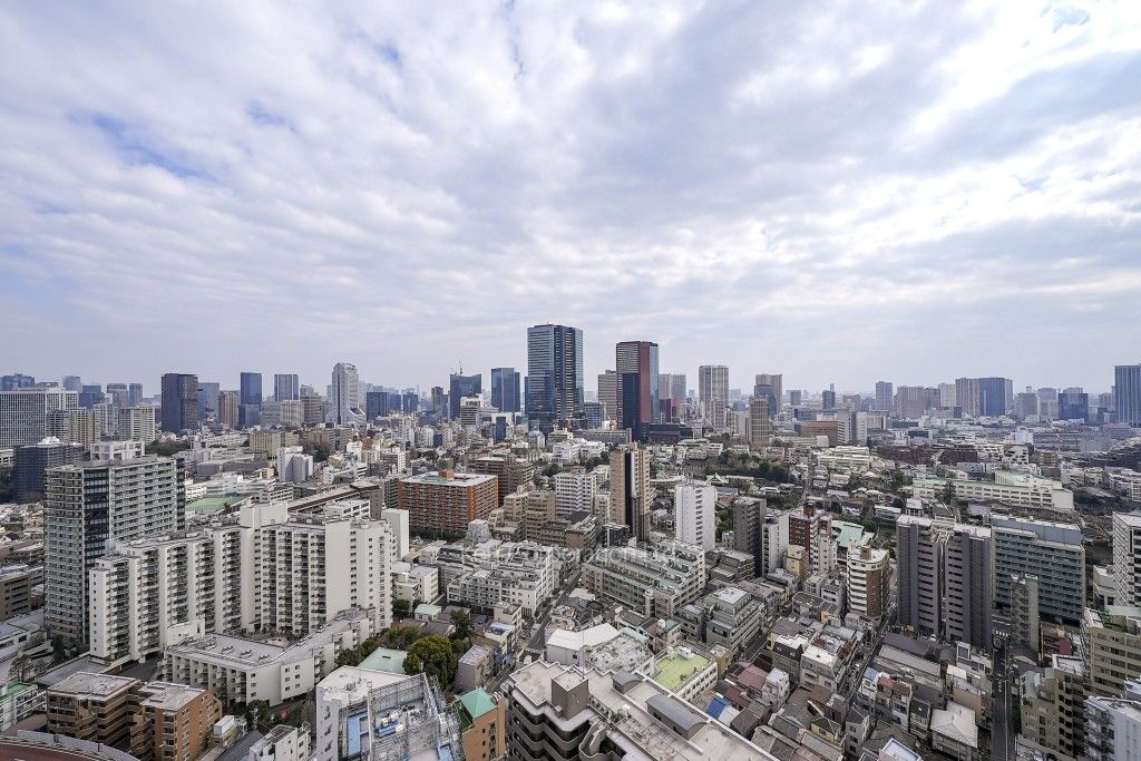 白金ザ・スカイの写真 眺望（居室から）