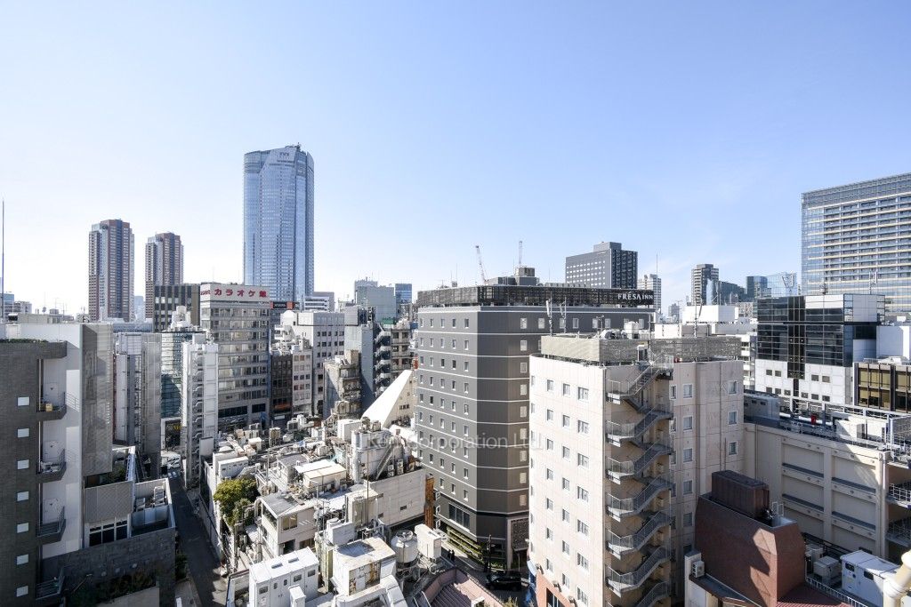 オーキッドレジデンス六本木の写真 眺望（居室から）