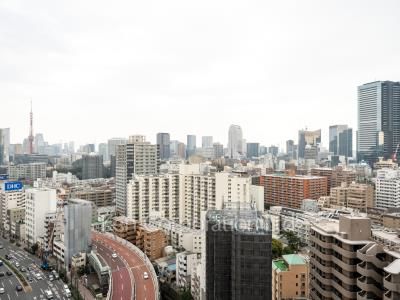 白金ザ・スカイの写真 眺望（居室から）