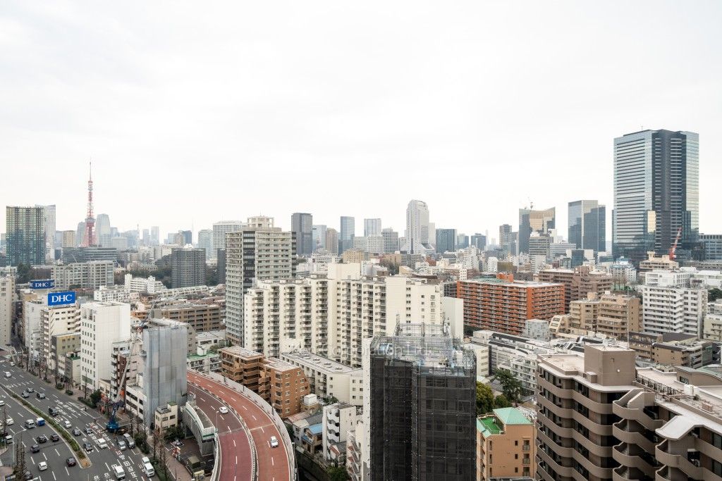 白金ザ・スカイの写真 眺望（居室から）