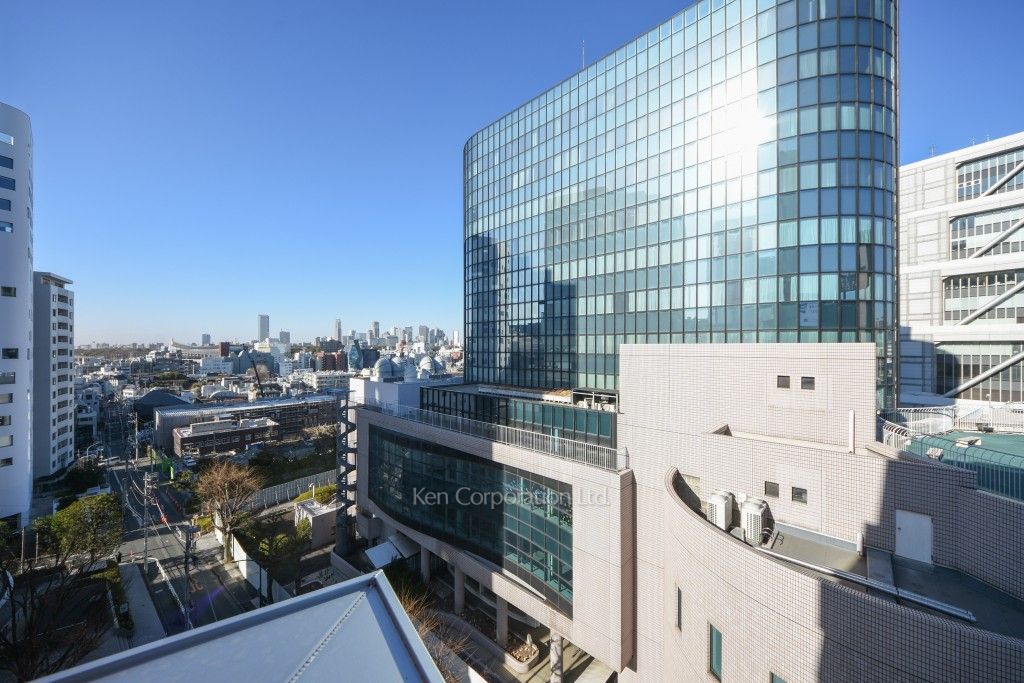 アマンE.S.K.青山の写真 眺望（居室から）