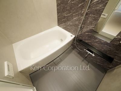 グリーンレジデンス赤坂の写真 バスルーム