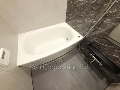 グリーンレジデンス赤坂の写真 バスルーム