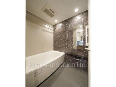 グリーンレジデンス赤坂の写真 バスルーム