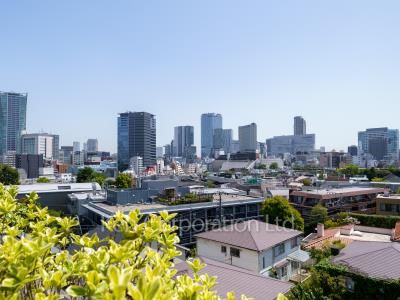 グランドメゾン松濤の写真 眺望（居室から）