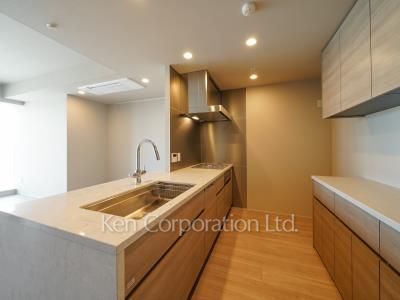 白金ザ・スカイの写真 キッチン