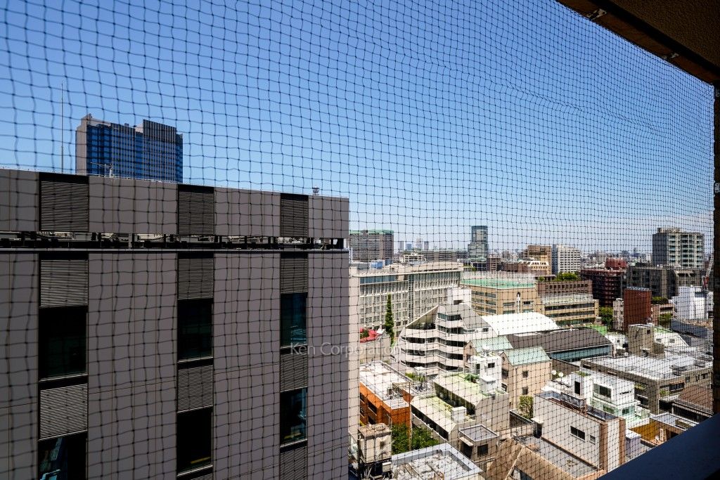 ザ・パークハウス千代田麹町の写真 眺望（居室から）