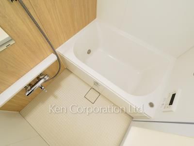 Brillia ist 渋谷本町の写真 バスルーム