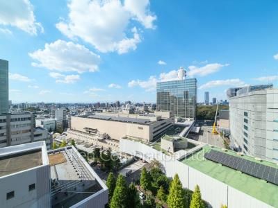 パークコート渋谷ザタワーの写真 眺望（居室から）