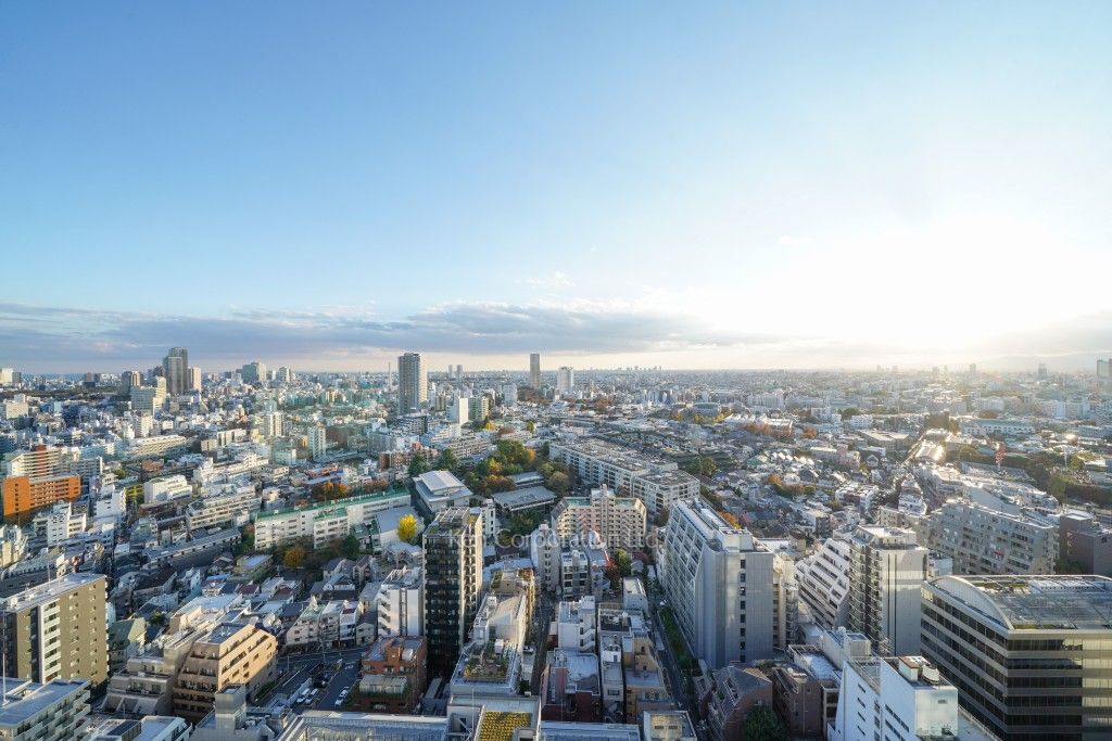 ブランズ渋谷桜丘の写真 眺望（居室から）