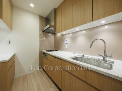 リビオレジデンス西麻布の写真 キッチン