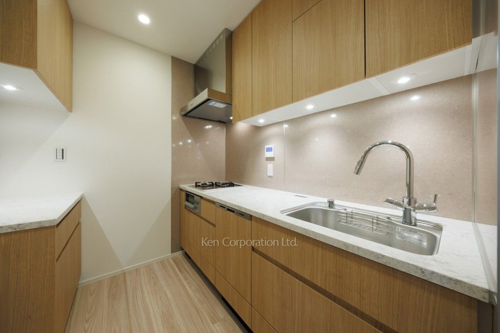 リビオレジデンス西麻布の写真 キッチン